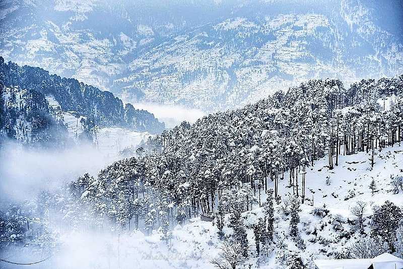 Day 1: Jammu → Patnitop (≈ 110 km / 3-4 hrs)